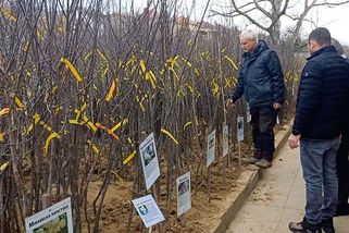 Ovocnář z Bojkovic hledá a navrací prastaré odrůdy do zahrad a sadů - Novinky