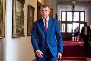 Babiš před summitem NATO: Dostaneme sodu a kartáč, Trump je politické zvíře - Novinky