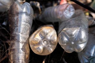 Prázdné PET lahve zakopala dnem vzhůru. Zadarmo má vyvýšený záhon jako z drahého zahradnictví - Médium.cz