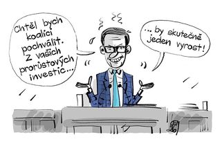 KEMEL: Kdo tu vlastně roste? - Novinky