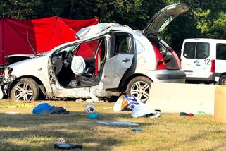 Auto vylétlo z dálnice D7 u Prahy a narazilo do stojanu u benzínky, řidič nepřežil - Novinky