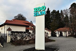 Nejkrásnější Zoo Evropy je za rohem: Hodnocení 4,8 a ta v Praze se prý "může jít bodnout"