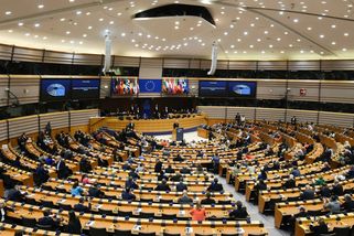 Evropský parlament chce zakázat stranu sdružující AfD i českou SPD - Echo24.cz