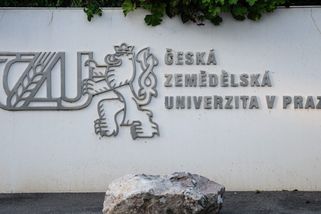 K testu jen bez podprsenky. Studentky ČZU se musely před zkouškou svlékat, rektor svolá etickou komisi