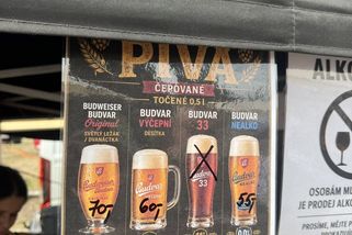 Bramborák za 150 a Budvar za 70. Kolik letos stojí jídlo a pití na Země živitelce