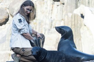 Pražská zoo chce nabrat desítky lidí a zvyšit platy. Zaměstnancům nabídne psychologa - Novinky