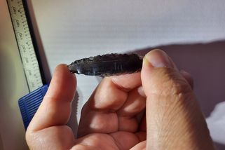 stoplusjednicka.cz/veda/archeologove-objevili-11-novych-obsidianovych-hrotu-s-tajemnymi-rytinami-starymi-temer-9-000?utm_source=www.seznam.cz&utm_medium=seznam_distribuce&utm_campaign=lide