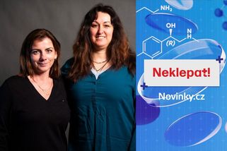 Mykoterapie má tisíciletou tradici. Houby dokáží pomáhat i při konvenční léčbě rakoviny - Novinky