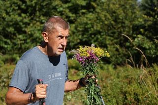 Marketingový majstrštyk na Lysé hoře: Babišův výšlap funguje líp než pivo a guláš