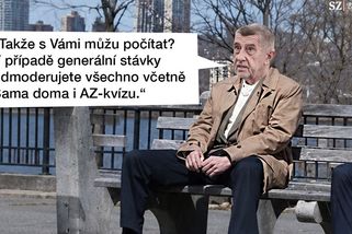 TMBK: Babiš má plán B pro ČT. Skýtá angažmá známého mediálního činitele - Seznam Zprávy