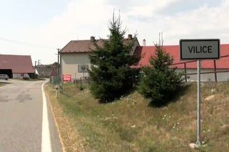 Jihočeskem stále putuje záhadná šelma, měla se objevit ve Vilicích. Obce varují své občany