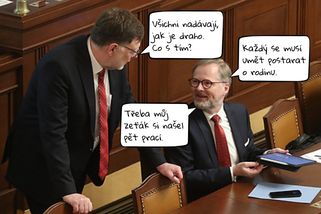 Fialův zeť: jak se postarat se o rodinu - Médium.cz