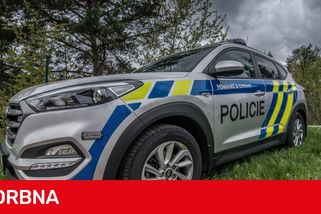 Kuriózní případ pokácených a odcizených stromů ze zahrady policie rychle vyřešila