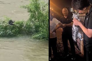 Kočka při záplavách uvázla v řece, zachránil ji dron - Novinky