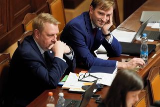 Umělé oplodnění pro single ženy? Juchelkův resort návrh ztrhal - Novinky