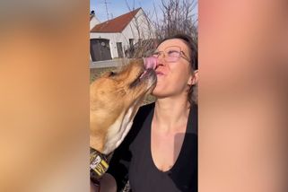Fence Judy zemřel pán. Teď doplácí na přílišnou lásku k lidem - Novinky