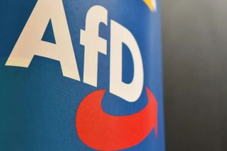 Bavorská AfD volá po masové „reemigraci“ milionů cizinců. Schválila rezoluci - Echo24.cz