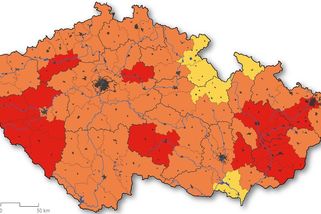 České lesy trpí suchem. Měli bychom začít testovat dřeviny běžné ve Středomoří, říká dendrolog - Novinky
