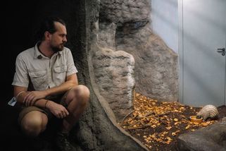 Jak vypadá unikátní chov luskounů? Strávili jsme den s chovateli pražské zoo - Seznam Zprávy
