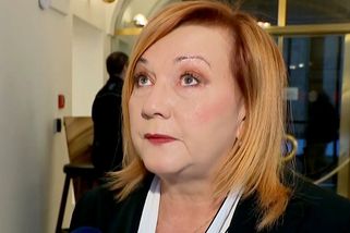V rozpočtu chybí každá čtvrtá koruna. Stanjura mluví o tygrovi v masně - fintag.cz