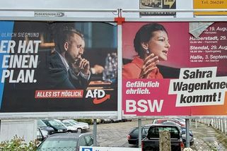 „Celá Evropa nás sleduje“. Proč AfD v Sasku-Anhaltsku válcuje tradiční strany