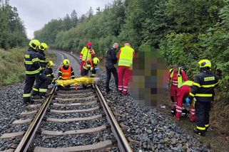 Srážku s vlakem na Bruntálsku odnesla dívka vážným zraněním - Novinky