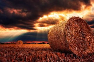 Farmáři ke změnám v rozpočtu: Zemědělství se zhroutí jako dům z karet - Seznam Zprávy