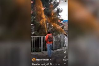 Klimatičtí extremisté posprejovali dětem v Kodani vánoční strom - Novinky