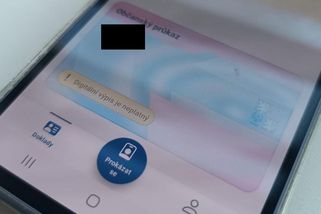 Ustojí eDoklady volby? Kapacitu pro přihlašování je potřeba zvýšit