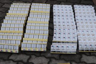 Cizinec převážel do Česka krabice plné cigaret. Skončil v cele - Novinky