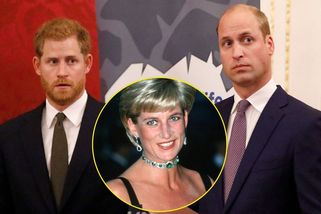 Může Diana po třiceti letech od své smrti spojit své syny? William a Harry prý míří ke smíření