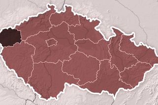 Paleontologové na Karlovarsku objevili dosud neznámý druh pravěké šelmy - Seznam Zprávy