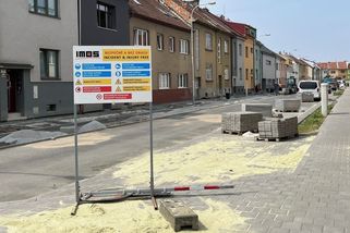 „Jako betonová džungle.“ Stromy ustoupily kanalizaci, má se to změnit - Seznam Zprávy