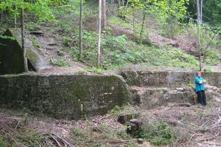 Životní ironie Adolfa Hitlera: Jeho skutečný přítel i milovaná fenka Blondi pocházeli z Česka - Médium.cz