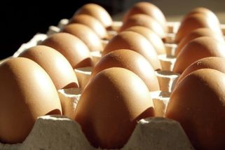Kolik vajíček můžete denně sníst. Řiďte se doporučením vědců