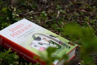 Laskavý zvěrolékař James Herriot a jeho začátky - Médium.cz
