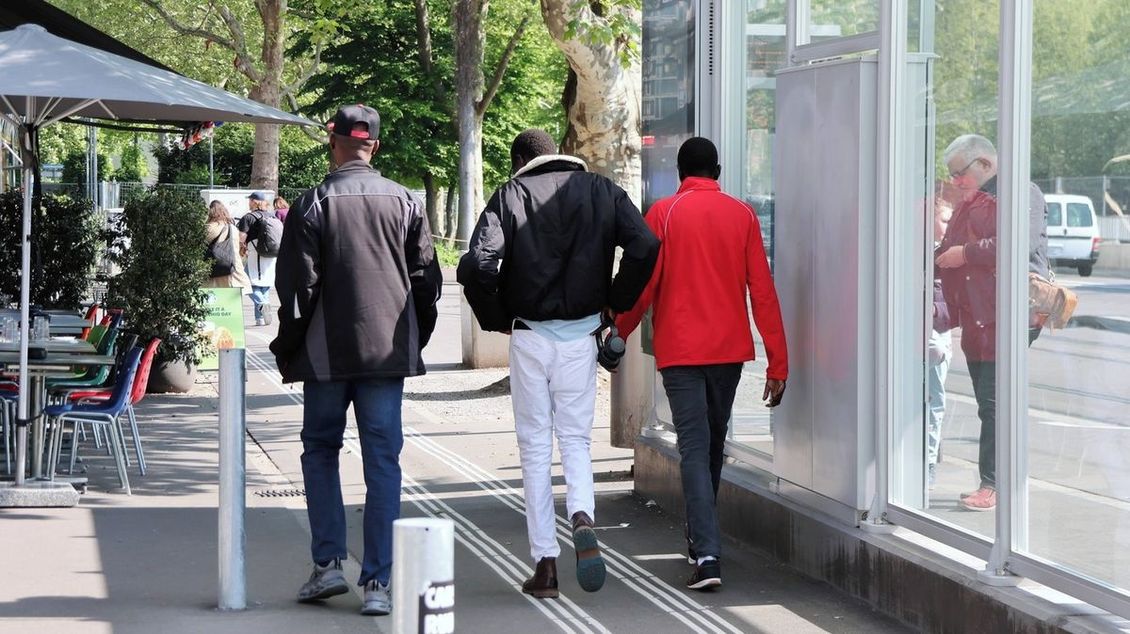 Čtyři pětiny žadatelů o azyl ze severní Afriky ve Švýcarsku čelily obvinění z trestného činu - Novinky