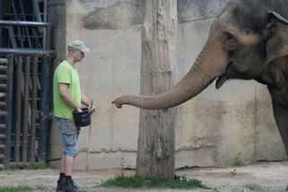 Liberec opustila slonice Bala. Ve zdejší zoo s jejím odchodem končí chov slonů - Novinky