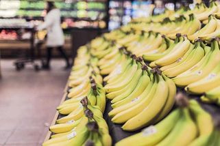 Potravinový závod ke dnu. Skutečná cena levných banánů v českých supermarketech