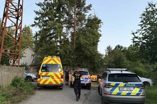 Lev ve Zvoli se ven z výběhu podhrabal. Když uviděl policisty, rozeběhl se proti nim - Novinky