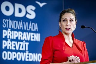 Decroix: Dětský certifikát? Lidskoprávní zvěrstvo, Malá ze mě udělala obhájkyni pedofilů
