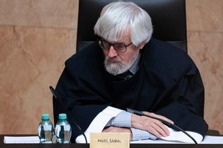 Nemá to naději na úspěch, komentuje Preuss vládní tažení proti ústavnímu soudci Šámalovi