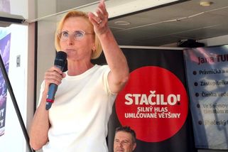 Nátlak na prezidenta: protest proti zmanipulovaným volbám týden před hlasováním