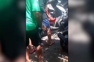 Rozzuřený kohoutí zápasník na Bali zabil svého trenéra - Novinky