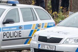 Gang mladých cizinců kradl jako straky. Policisté je nově viní z dalších 22 činů