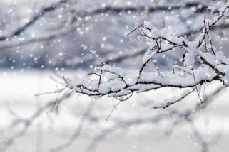 Meteorologické modely vysílají varovný signál: Evropě hrozí příval arktického vzduchu, jeden měsíc rozhodne