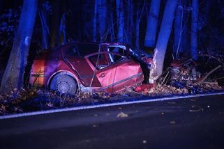 V octavii bylo po nárazu do stromu na Mladoboleslavsku pět zraněných, jeden zřejmě v kufru - Novinky