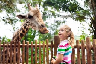 ŽENA-IN - Výlet s vnoučaty do zoo mě zklamal na celé čáře. Už nikdy víc, zlobí se Renata