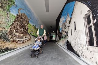 Sprejer přenesl na zeď Pernštejn i zubra. Průchod vyzdobený muraly už přitahuje pozornost - Novinky