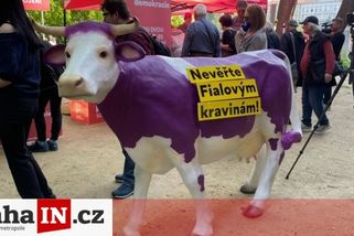 prahain.cz/zivot-ve-meste/turiste-v-praze-zasli-pri-pohledu-na-martu-semelovou-23061.html?utm_source=www.seznam.cz&utm_medium=seznam_distribuce&utm_campaign=lide